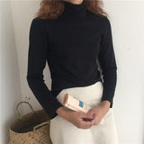 Retro Chic Long Sleeve Turtleneck