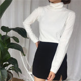 Retro Chic Long Sleeve Turtleneck